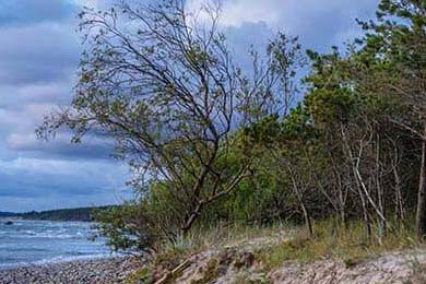 学生可以用的网恋软件(15岁谈恋爱的软件)