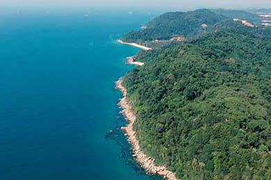 社区在线影视(奇迹社区app)